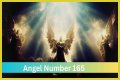 
ANGEL NUMBER 165
