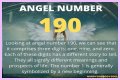 
ANGEL NUMBER 190
