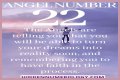 
ANGEL NUMBER 22

