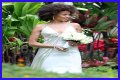 Carlos Santana Wife: Is Carlos Santana Married?