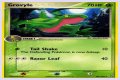 Grovyle (EX Emerald 28) - Bulbapedia, the community-driven Pokémon encyclopedia