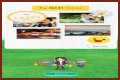 Niantic to perform server maintenance for Pokemon Go and Pikmin Bloom