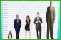 Steve Carell Height