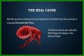 What Really Caused the Black Death: Anthrax or Celestial Bodies?