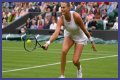 Wimbledon 2021: Aryna Sabalenka vs Karolina Pliskova Preview, Head to Head and Prediction